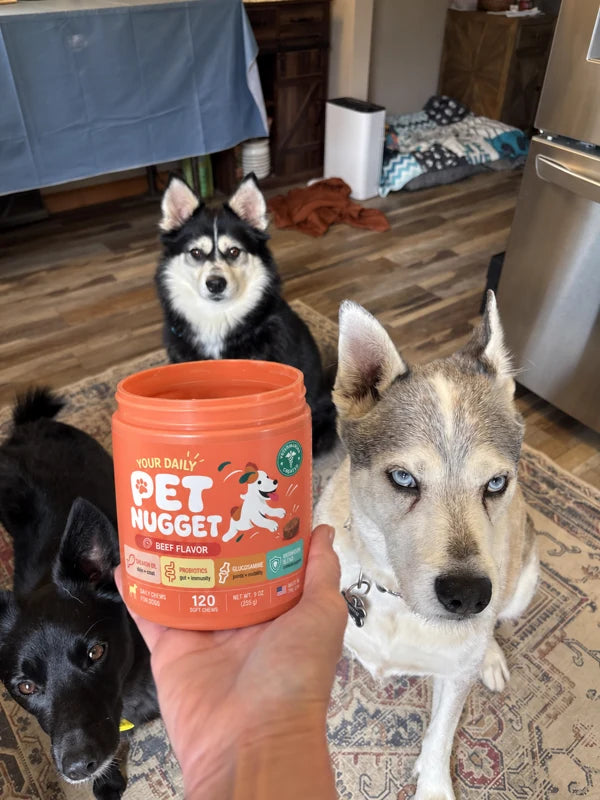 Ter’s rescue dogs; photo edited to show PetNugget packaging