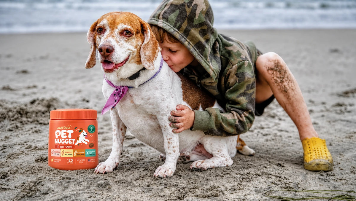 A child hugging a beagle on the beach, with a PetNugget jar on the sand beside them
